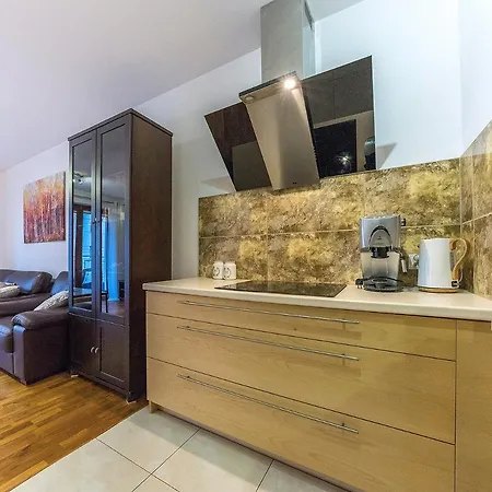 公寓 Apartament Nad Motlawa